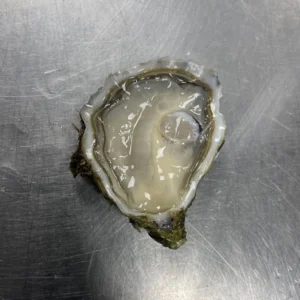 Huître de Leucate - calibre 3